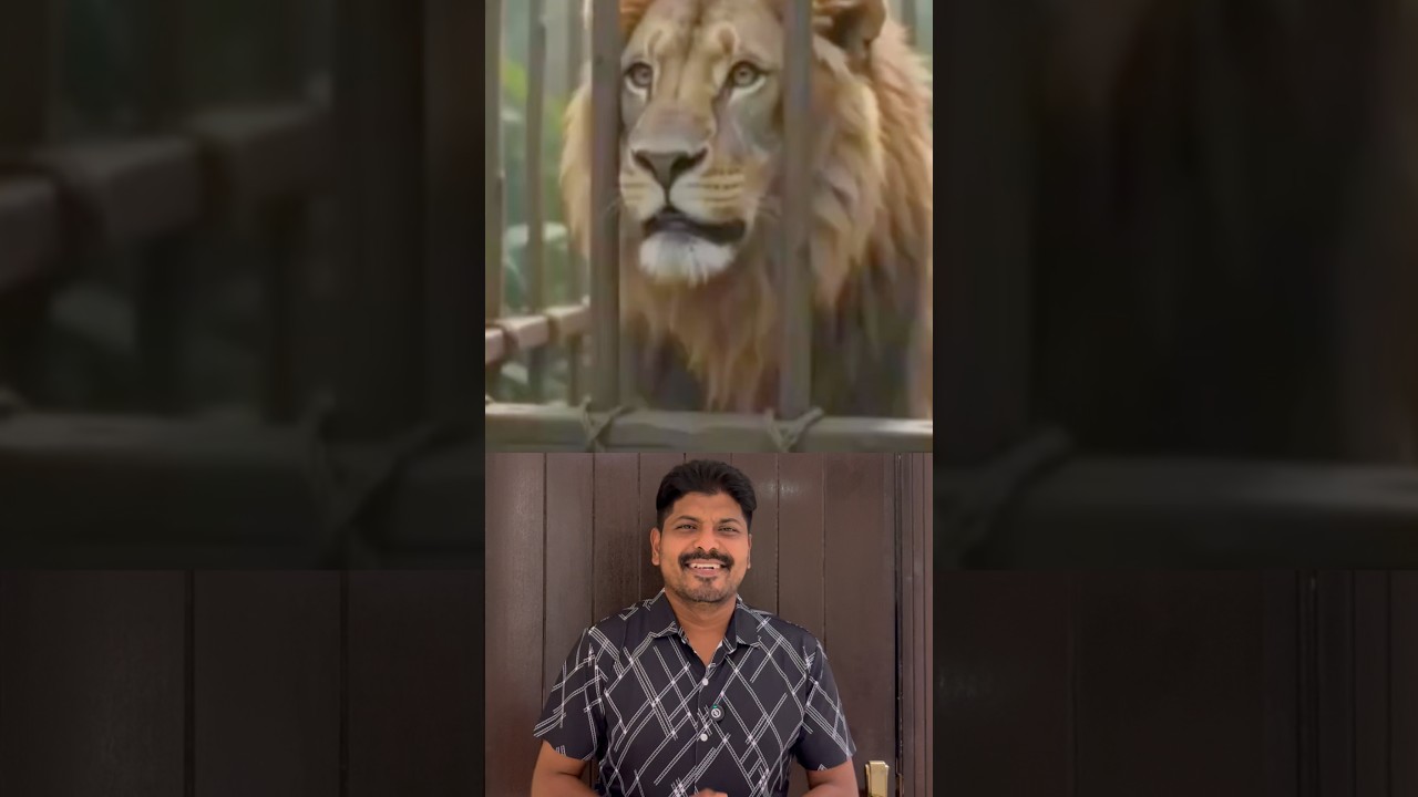 சிங்கம் என்ன சொல்லுது என்று கடைசி வரைக்கும் பாருங்க?🥹🥹🙌🏻 #tamil