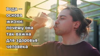 Вода — основа жизни: почему она так важна для здоровья человека