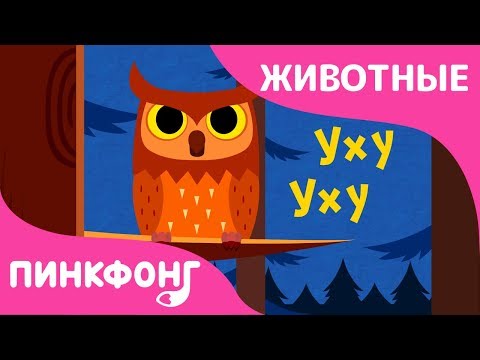 Звуки Животных | Песни Про Животных | Пинкфонг Песни Для Детей