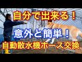 自分で出来る！【自動散水機のホース交換】意外と簡単！#柴犬 #散水機 #交換