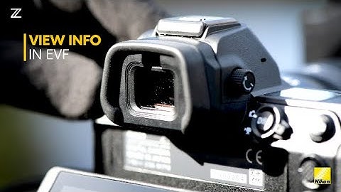 Nikon Z Tips: View Information in EVF