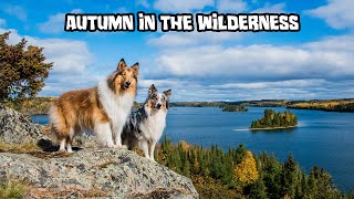 Weeklong Autumn Adventure in the Wilderness