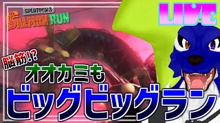 【 スプラトゥーン3 】ルードもビッグビッグビッグラン頑張るぞぉ～！【 #ケモノVtuber 】