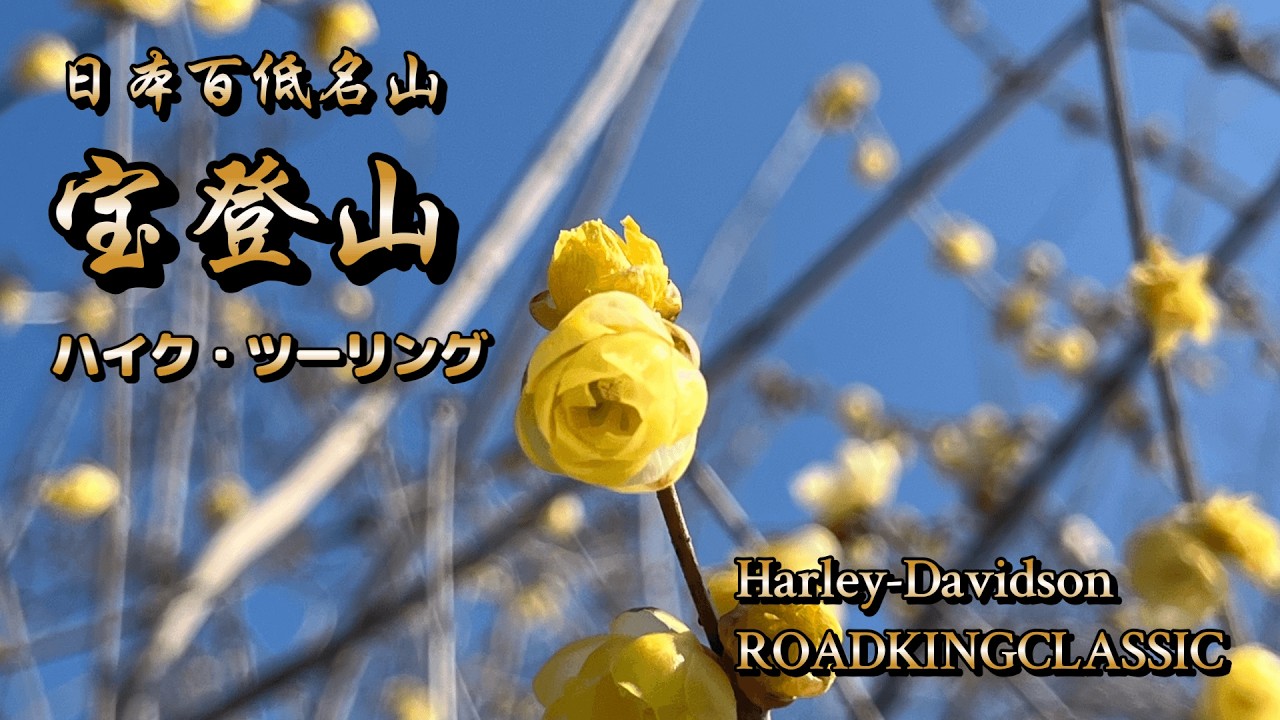 【宝登山】#62  2026.2.15 ハイク&ツーリング