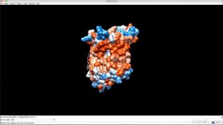 Celebrity From Structural Data to 3D Animation Software - Chap13 Hydrophobicity Profile