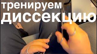 как тренировать диссекцию