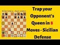 Trap Your Opponent Queen in 8 Moves like this - Sicilian Defense