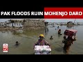 Rains damage 5000yearold heritage of mohenjo daro  pakistan floods