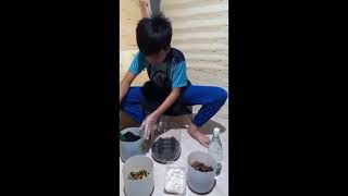 How to make Basket Composting at home