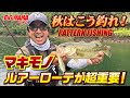 【清水盛三】秋のパワーゲーム！攻めのルアーローテーションで打開しろ！！