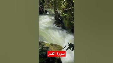 سورة القدر بصوت القارئ الشيخ