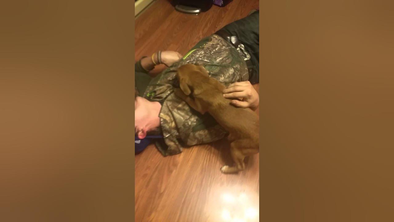 Stun gun test trial YouTube