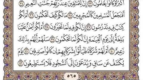 سورة القلم من ٤١ - ٤٥