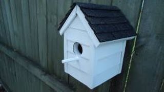 LEFT OVER VINYL SIDING? Try building a bird house with the scraps!!