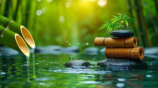 Soothing Piano Music 🌿 Relaxing Piano and Tranquil Waters for Complete Mental Renewal