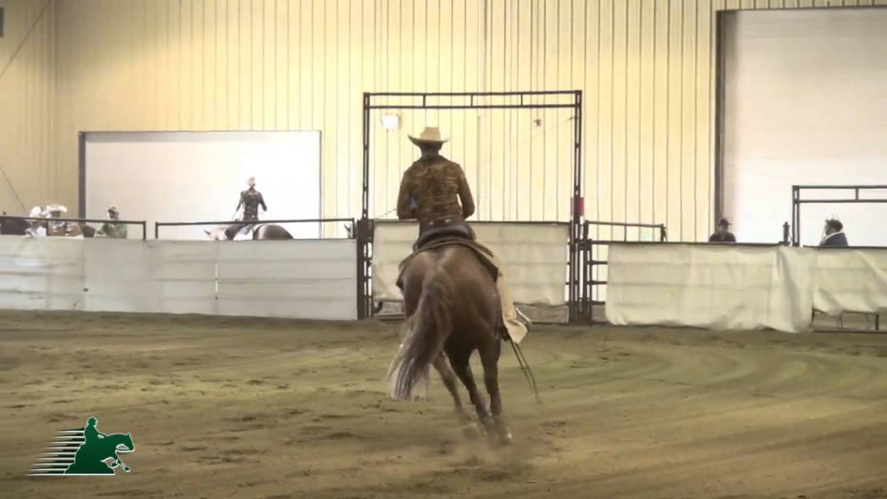 Carola Friesen riding TH Magic Whizard in the Limited Open