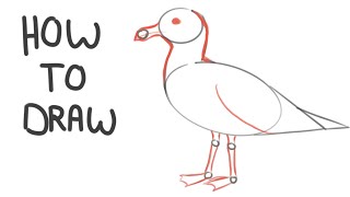 How To Draw A Seagull Easy