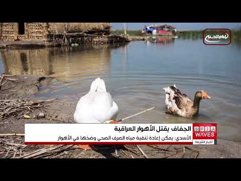 نتيجة انحسار المياه وغلبة الجفاف سكان الأهوار في العراق ي جبرون على الهجرة منها