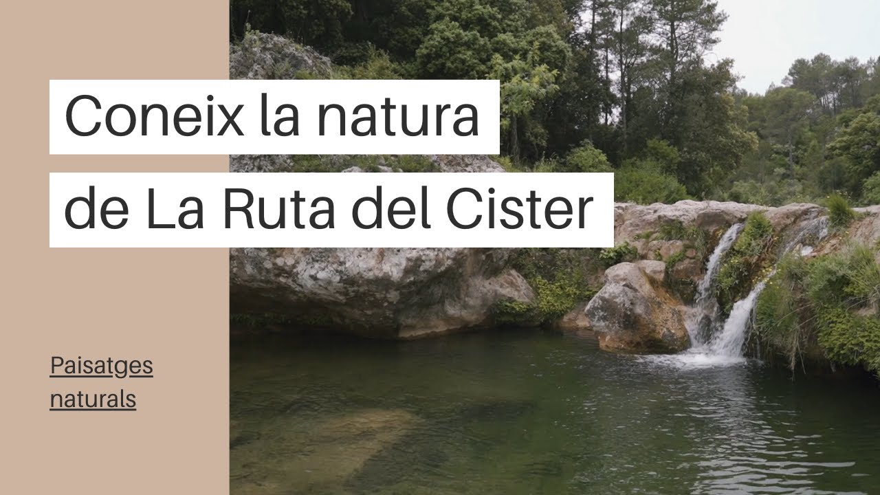 Coneix la natura de La Ruta del Cister