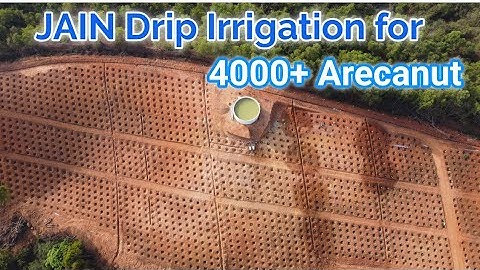 Jain Drip Irrigation for 4000+ Arecanut Plants.
