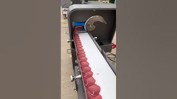 Commercial continuous slicing machine