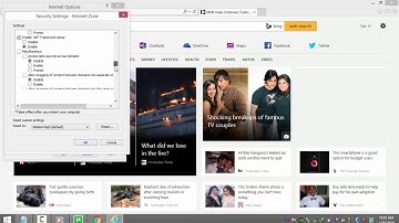 Enable & Disable JavaScript in Internet Explorer