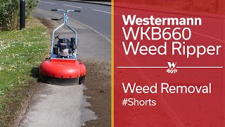 Weed Removal - Westermann WKB660 Weed Ripper