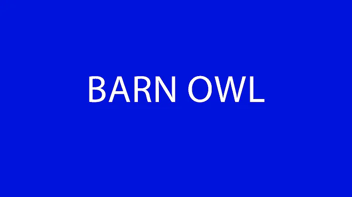 Birds names pronunciation BARN OWL