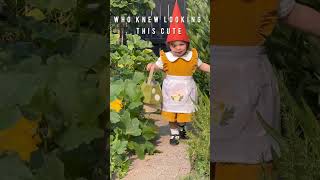 We ve got a new gnome costume