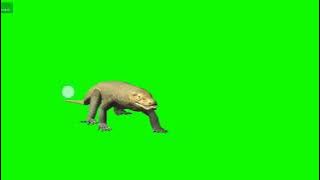 green screen komodo kadal reptil