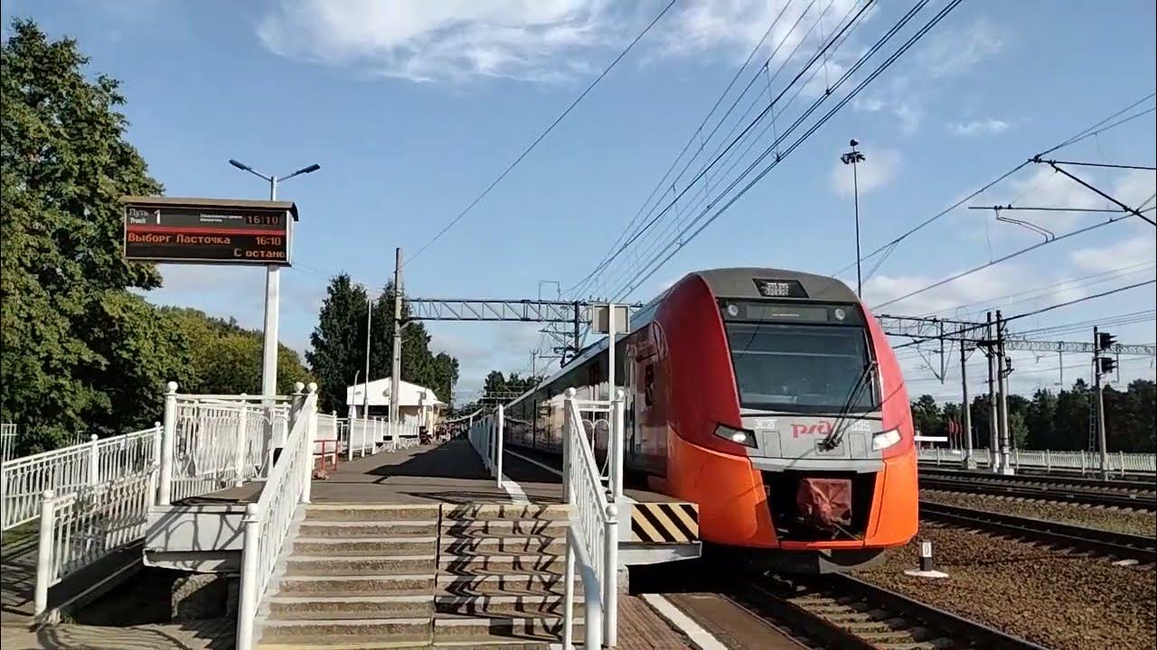 Электричка зеленогорск. Ласточка до зеленогорска. Эд4м 411. Ласточка из санкт-петербурга в выборг. Ласточка до зеленогорска.