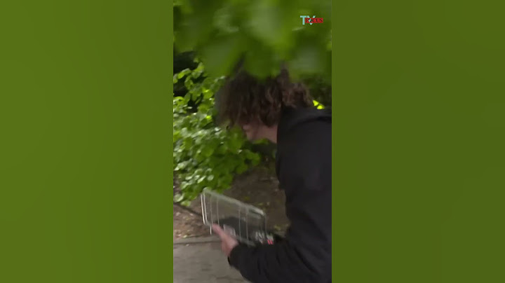 The E-Bike Hunter finds stolen e-bike in Berlin! #documentary #focustv #reportage #berlin