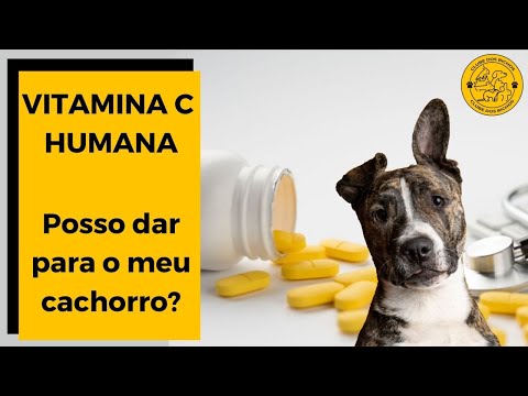 Vídeo: As Vitaminas E Suplementos Humanos São Perigosos Para Animais De Estimação?