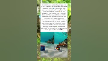 Octopus Found Solving Boy’s Rubik’s Cube Underwater 🐙🧩