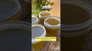 #shortvideo #пчелы #прополис #пасека