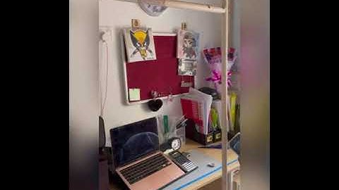 Experiment 5 Simple Harmonic Motion