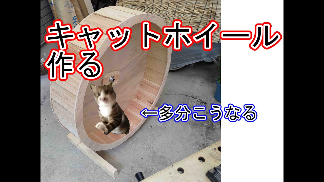 作ってみた」90cmキャットホイールを愛猫に捧げる 自作DIY