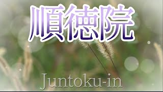 【順徳院 じゅんとくいん 100番】百敷（ももしき）や 古き軒端（のきば）の しのぶにもなほあまりある 昔なりけり🍃　１分音読で若返る🌿〜Enjoying My Life🌱
