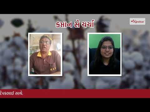 Cotton  Special Kaptan Se Charcha - Gujarat || કપાસ સ્પેશીયલ કપ્તાન સે ચર્ચા - Cotton  Special Kaptan Se Charcha - Gujarat || કપાસ સ્પેશીયલ કપ્તાન સે ચર્ચા