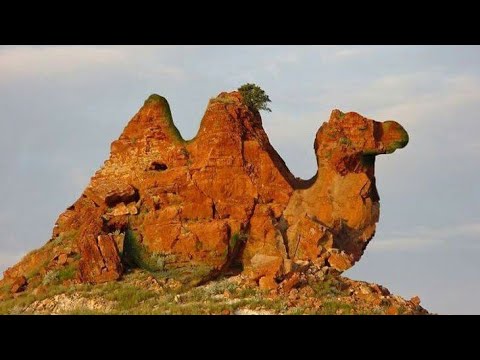 6. Petrified Creatures and Giant Beasts