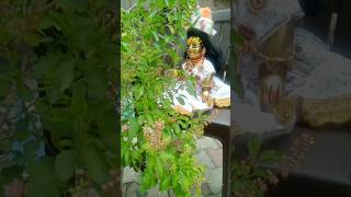 Download Lagu Tulsi ma ki nveen mnjri tthakur g ko arpn kre🙏🙏🙏 MP3 Download Lagu Tulsi ma ki nveen mnjri tthakur g ko arpn kre🙏🙏🙏 MP3