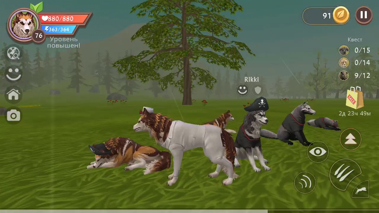 Куда я пропал?Почему не было новых роликов?