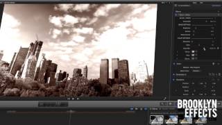 Black + White for Final Cut Pro X from Brooklyn Effects™