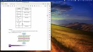 ICT Grade 11 - Pseudo code part 1