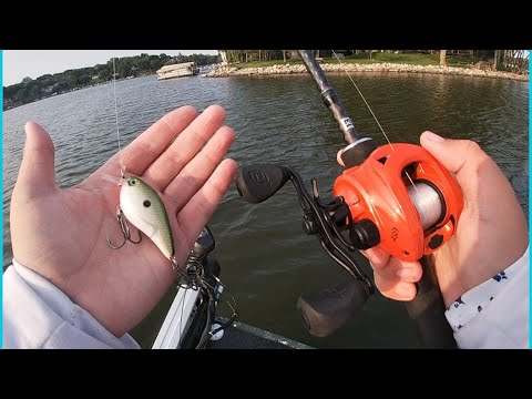 Crankbait fishing for bass (fall transition)