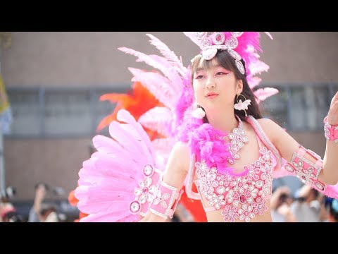 神戸まつり 2019 Escola De Samba KOBECCO [8K]