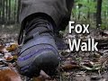 Fox walk  how to walk silently through the woods