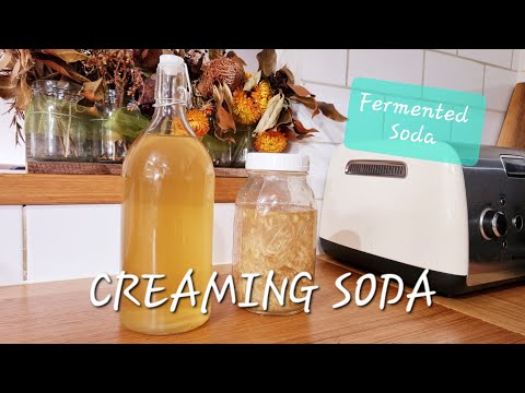 Make Fermented Creaming Soda | Fermented Soda Series: All The Knowledge To Make Fermented Soda