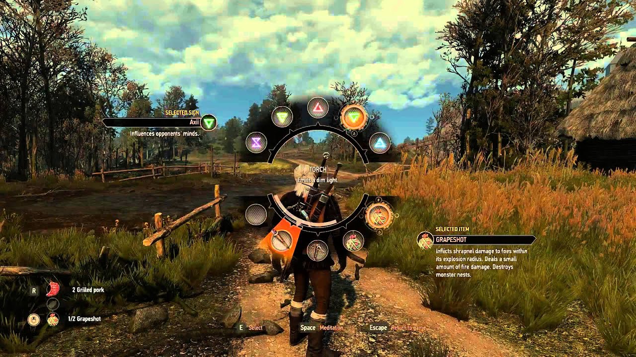 Witcher 3 pocket slot items ebay Witcher 3 pocket slot items ebay