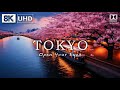 TOKYO 🗼in 8K Ultra HD HDR [60FPS] Dolby Vision | Tokyo 8K HDR | 8K TV